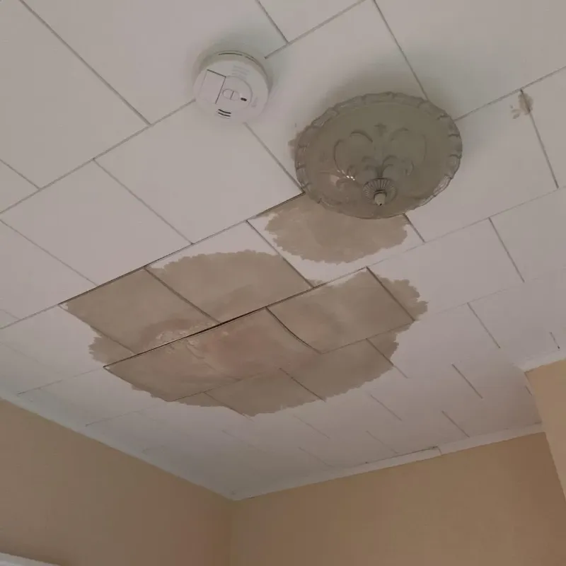 Ceiling Water Damage Repair in Folsom, NJ
